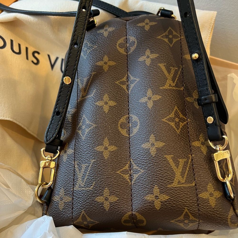 LOUIS VUITTON (LV) PALM SPRINGS MINI BACKPACK - Picture 3 of 14